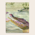 Alligator Study  Notebook Gallery Image 4