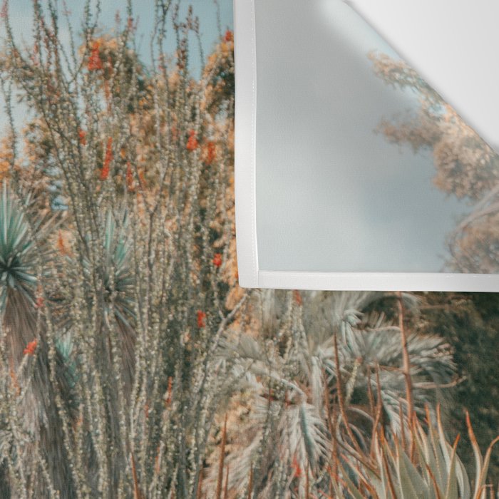 Desert Oasis - California Cactus Garden, Nature, Landscape Photography Wall Tapestry Gallery Image 3
