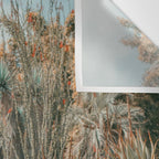 Desert Oasis - California Cactus Garden, Nature, Landscape Photography Wall Tapestry Gallery Image 3