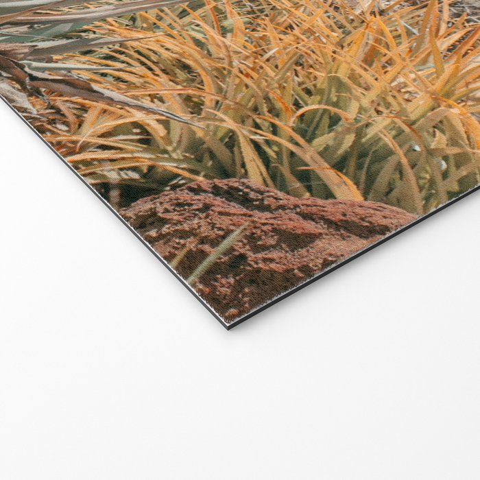 Desert Oasis - California Cactus Garden, Nature, Landscape Photography Welcome Mat Gallery Image 2