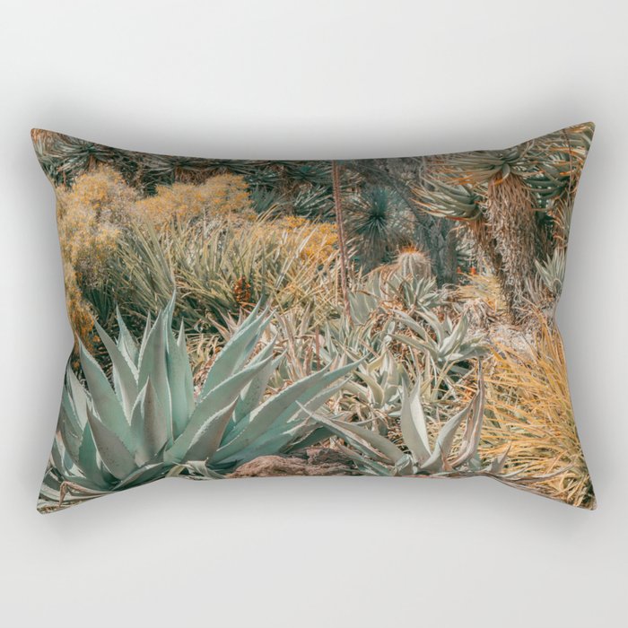 Desert Oasis - California Cactus Garden, Nature, Landscape Photography Rectangular Pillow Gallery Image 2