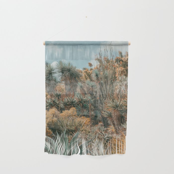 Desert Oasis - California Cactus Garden, Nature, Landscape Photography Wall Hanging Gallery Image 1