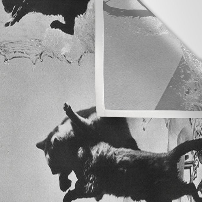 Dalí Atomicus, Salvador Dali painting with flying cats and water spurts surrealism / surrealist black and white photograph / photography by Philippe Halsman Wall Tapestry Gallery Image 3