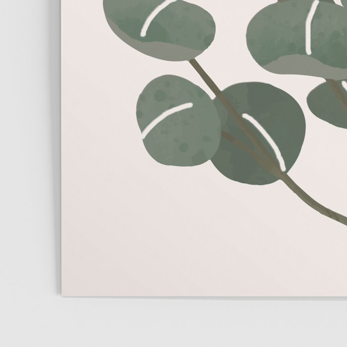 Little Eucalyptus Poster Gallery Image 3
