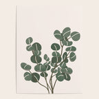 Little Eucalyptus Poster Gallery Image 4