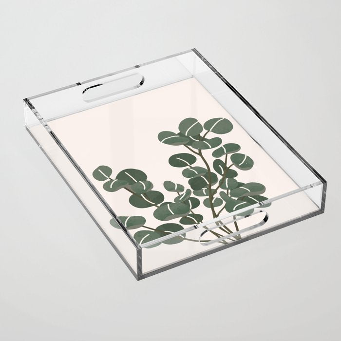 Little Eucalyptus Acrylic Tray Gallery Image 1