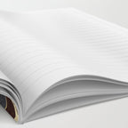 Copper Vista Notebook Gallery Image 2