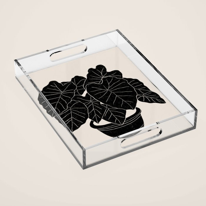 Black & White Plants / Elephant Ear Acrylic Tray Gallery Image 1