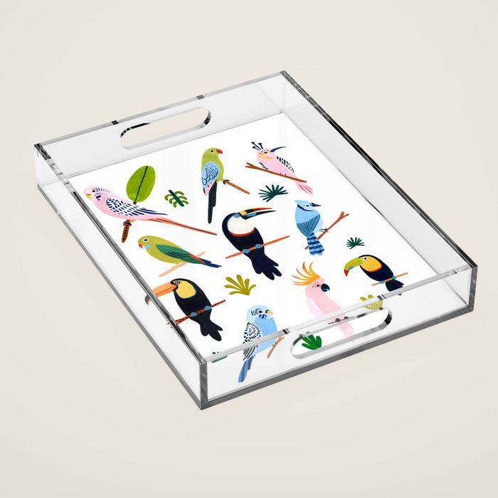 Birds of the Rainforest Acrylic Tray Gallery Image 1