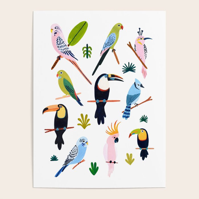 Birds of the Rainforest Poster Gallery Image 4