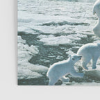 Polar Lights Poster Gallery Image 3