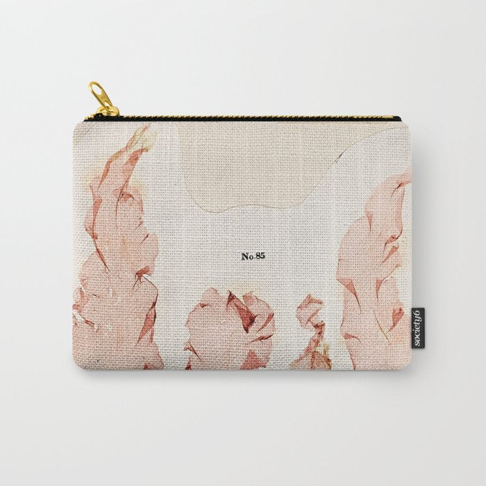 Specimens from "Algology: Algae and Corallines from the Bay & Harbor of New York," 1850 Carry All Pouch