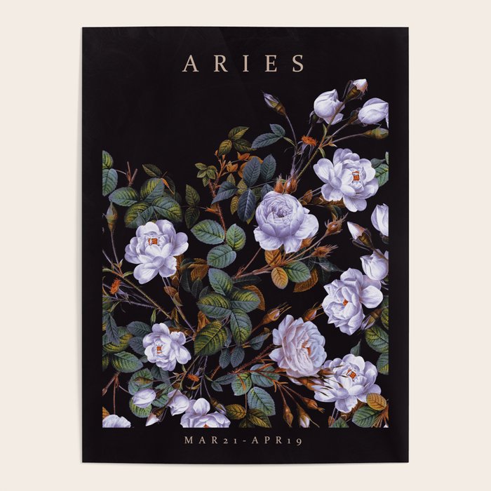 ARIES II Poster Gallery Image 4