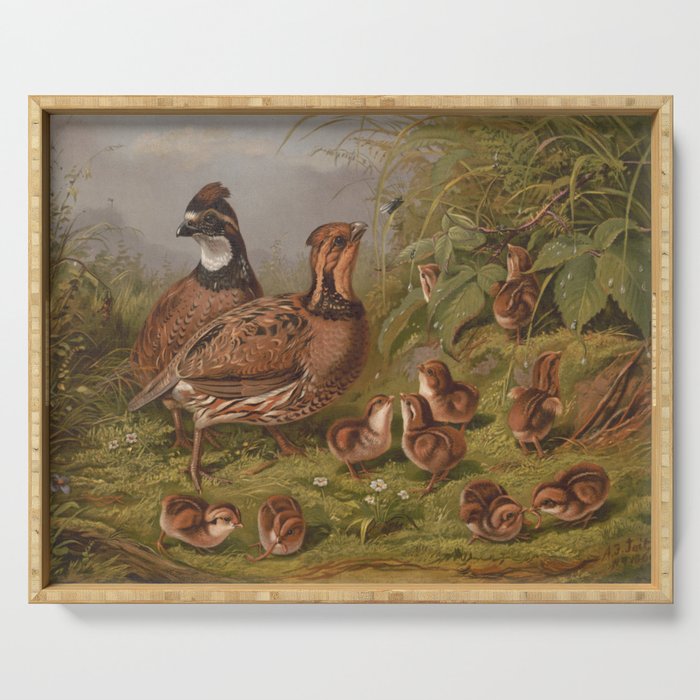 Vintage Quails & Their Chicks Illustration (1867) Serving Tray Gallery Image 1