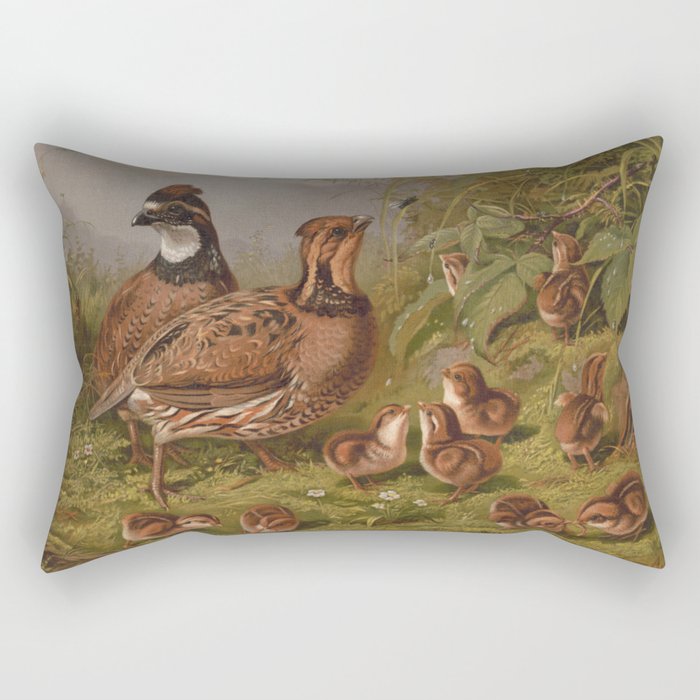 Vintage Quails & Their Chicks Illustration (1867) Rectangular Pillow Gallery Image 1