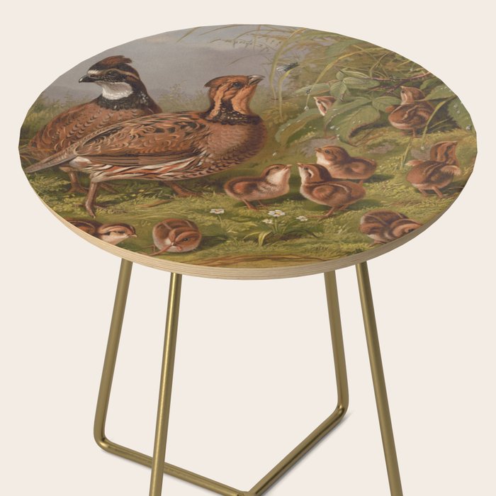 Vintage Quails & Their Chicks Illustration (1867) Side Table Gallery Image 2