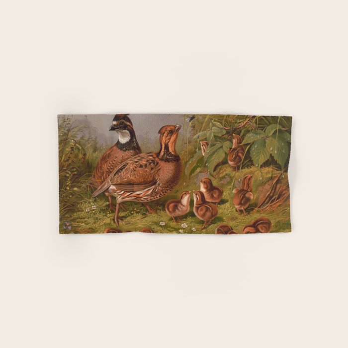 Vintage Quails & Their Chicks Illustration (1867) Bath Towel Gallery Image 1