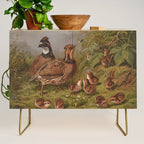 Vintage Quails & Their Chicks Illustration (1867) Credenza Gallery Image 1