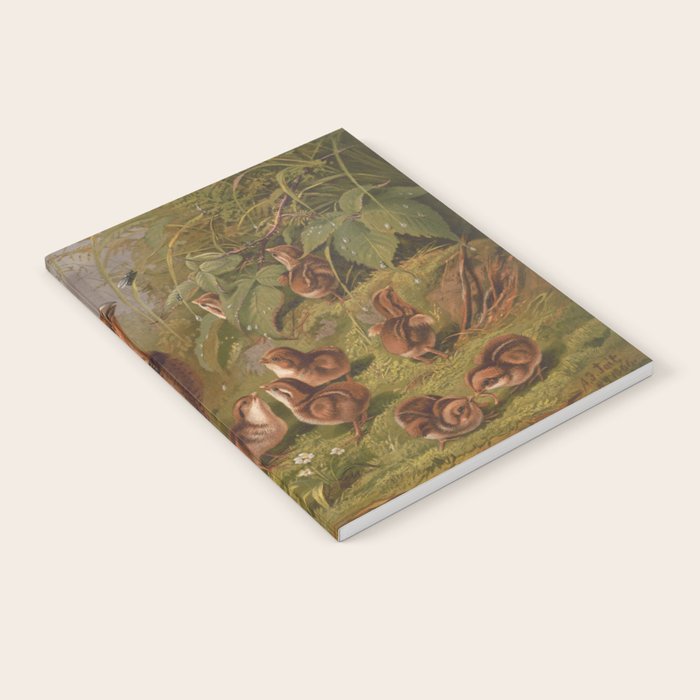 Vintage Quails & Their Chicks Illustration (1867) Notebook Gallery Image 2