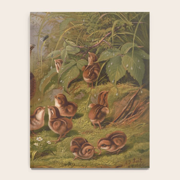 Vintage Quails & Their Chicks Illustration (1867) Notebook Gallery Image 4