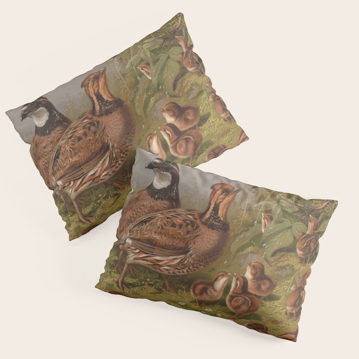 Vintage Quails & Their Chicks Illustration (1867) Pillow Sham Gallery Image 1