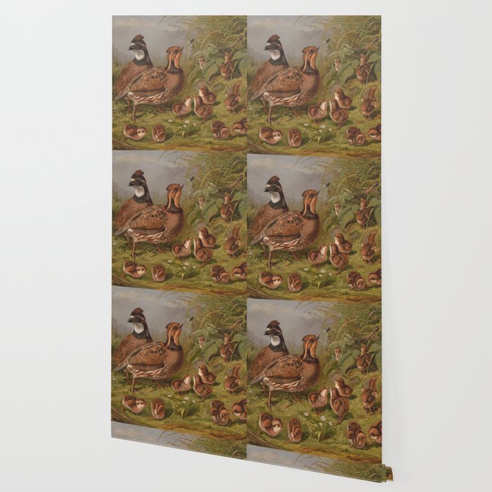 Vintage Quails & Their Chicks Illustration (1867) Wallpaper Gallery Image 2