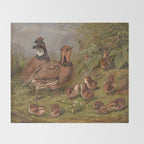 Vintage Quails & Their Chicks Illustration (1867) Throw Blanket Gallery Image 2