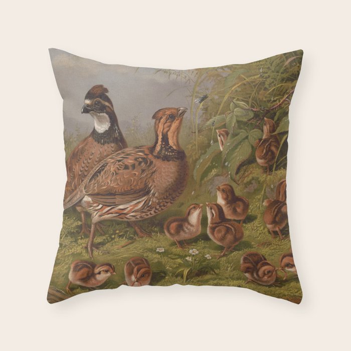 Vintage Quails & Their Chicks Illustration (1867) Throw Pillow Gallery Image 6