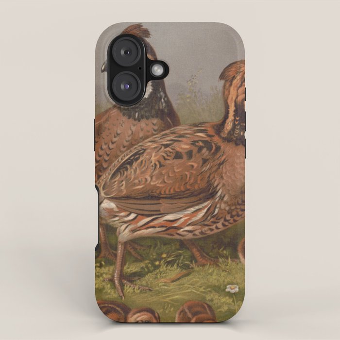 Vintage Quails & Their Chicks Illustration (1867) iPhone Case Gallery Image 1
