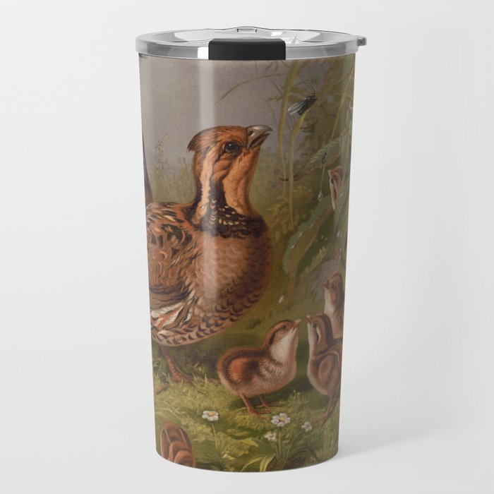Vintage Quails & Their Chicks Illustration (1867) Travel Mug Gallery Image 1