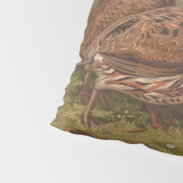 Vintage Quails & Their Chicks Illustration (1867) Pillow Sham Gallery Image 4