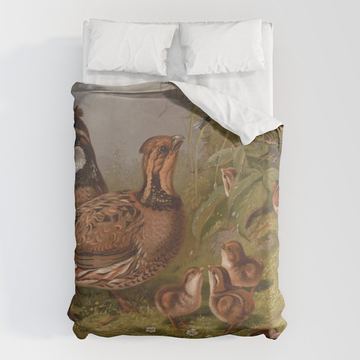 Vintage Quails & Their Chicks Illustration (1867) Duvet Cover Gallery Image 6