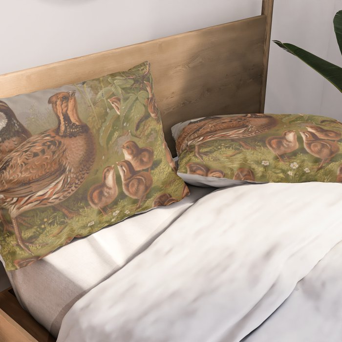 Vintage Quails & Their Chicks Illustration (1867) Pillow Sham Gallery Image 2