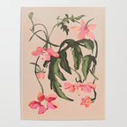 Garden Flowers 2 Poster Gallery Image 4