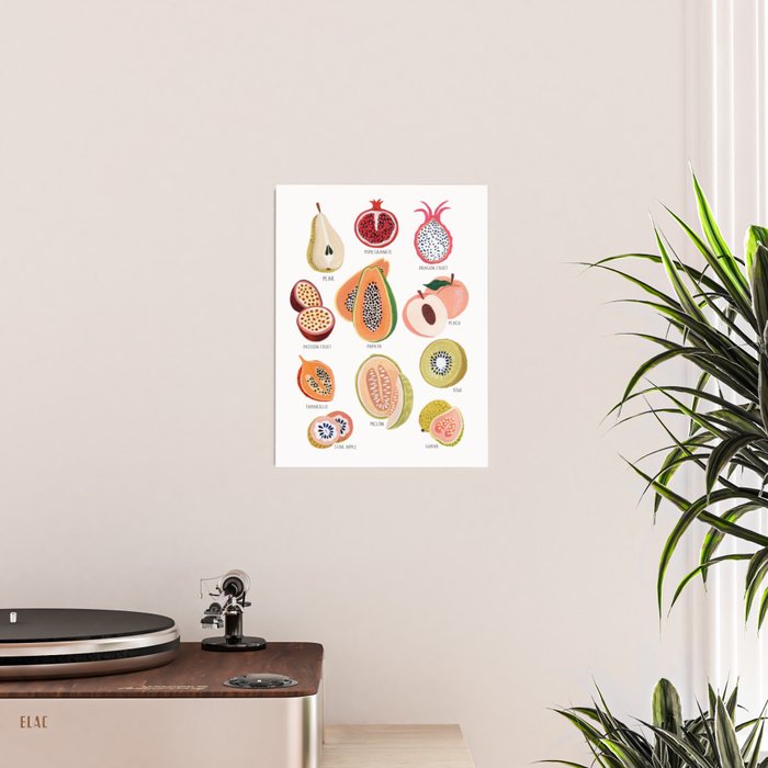 Fruit Collection Poster Gallery Image 2