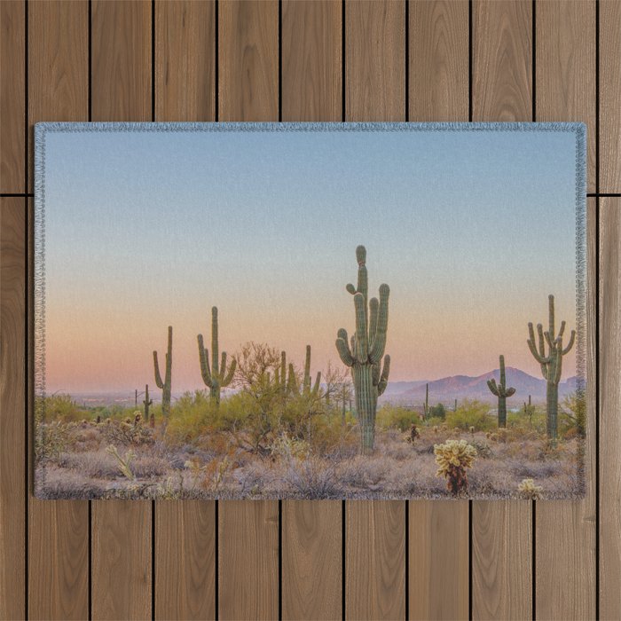 Desert / Scottsdale, Arizona Outdoor Rug Gallery Image 1