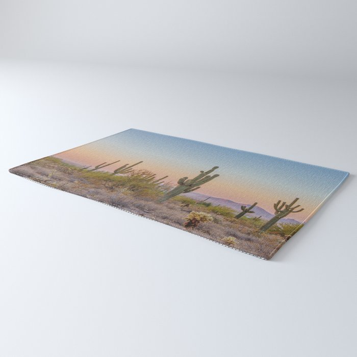Desert / Scottsdale, Arizona Rug Gallery Image 3