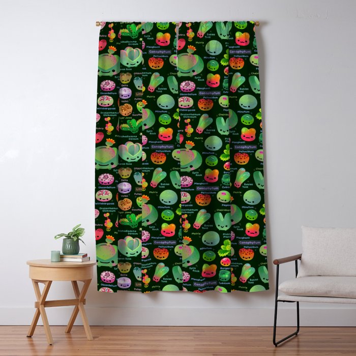 Baby succulent 3 - Mesembs (dark) Window Curtain Gallery Image 5