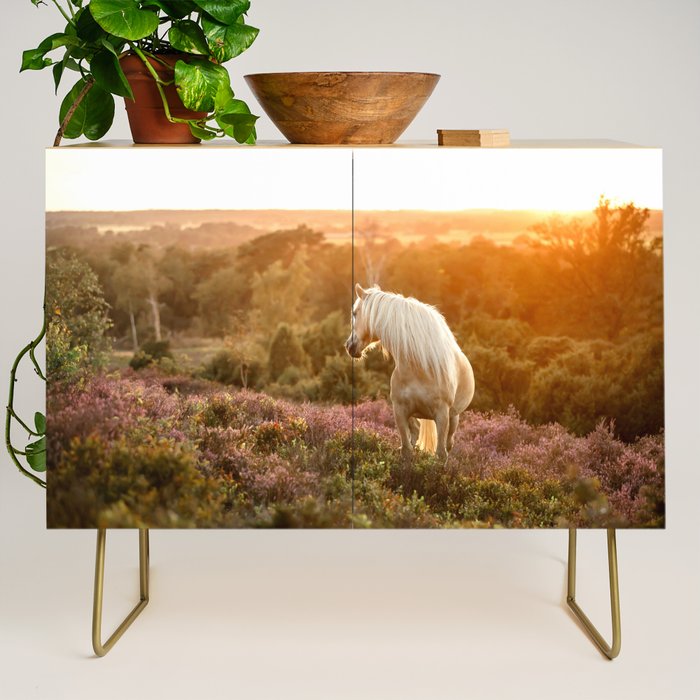 Haflinger horse on the blooming hill - Sunset equine photography Credenza Gallery Image 1