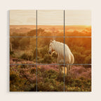 Haflinger horse on the blooming hill - Sunset equine photography Wood Wall Art Gallery Image 1