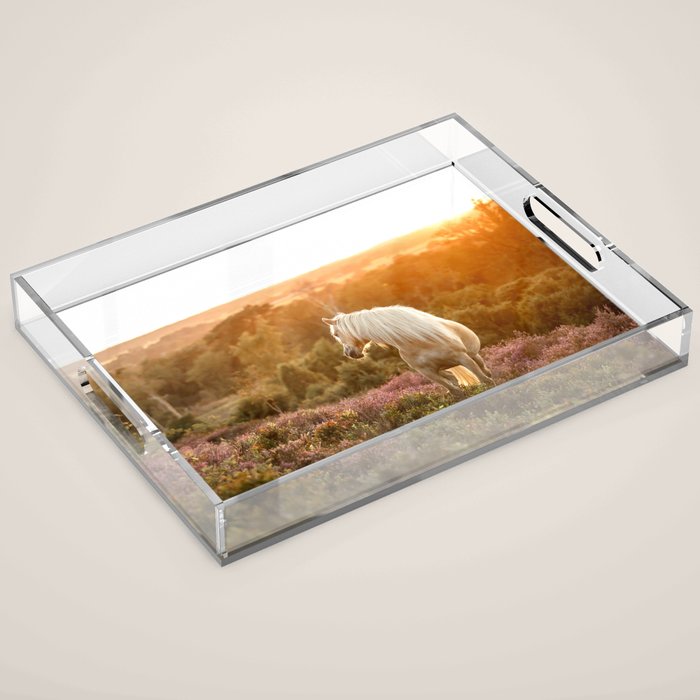 Haflinger horse on the blooming hill - Sunset equine photography Acrylic Tray Gallery Image 1