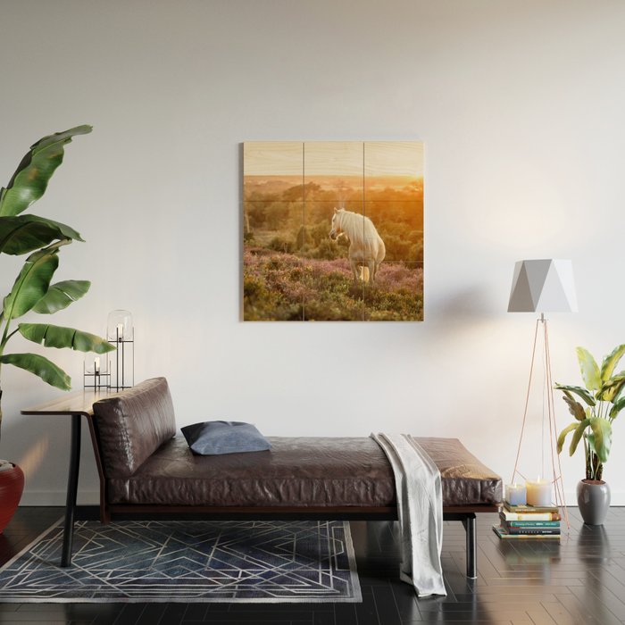 Haflinger horse on the blooming hill - Sunset equine photography Wood Wall Art Gallery Image 2