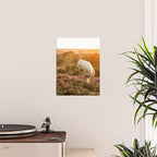 Haflinger horse on the blooming hill - Sunset equine photography Poster Gallery Image 2