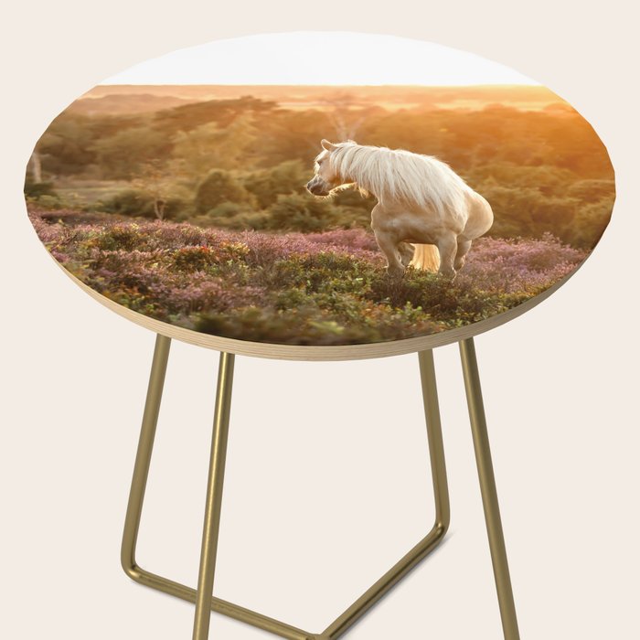 Haflinger horse on the blooming hill - Sunset equine photography Side Table Gallery Image 2
