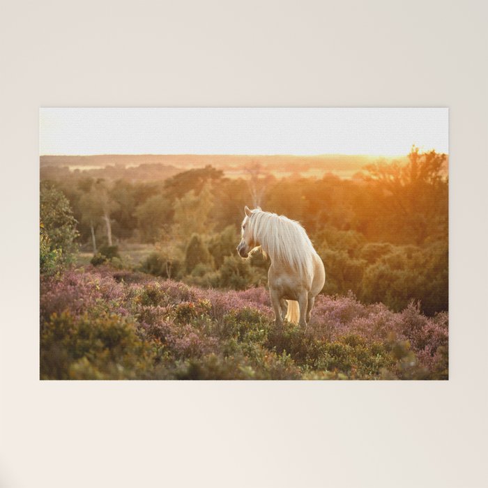 Haflinger horse on the blooming hill - Sunset equine photography Welcome Mat Gallery Image 1