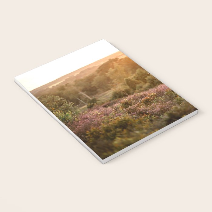 Haflinger horse on the blooming hill - Sunset equine photography Notebook Gallery Image 3