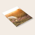 Haflinger horse on the blooming hill - Sunset equine photography Notebook Gallery Image 2