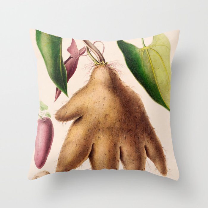 Yam from "Flore dâAmÃ©rique" by Ãtienne Denisse, 1840s Throw Pillow Gallery Image 1