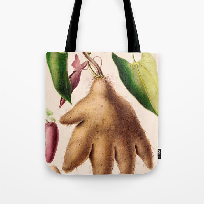 Yam from "Flore dâAmÃ©rique" by Ãtienne Denisse, 1840s Tote Bag Gallery Image 1