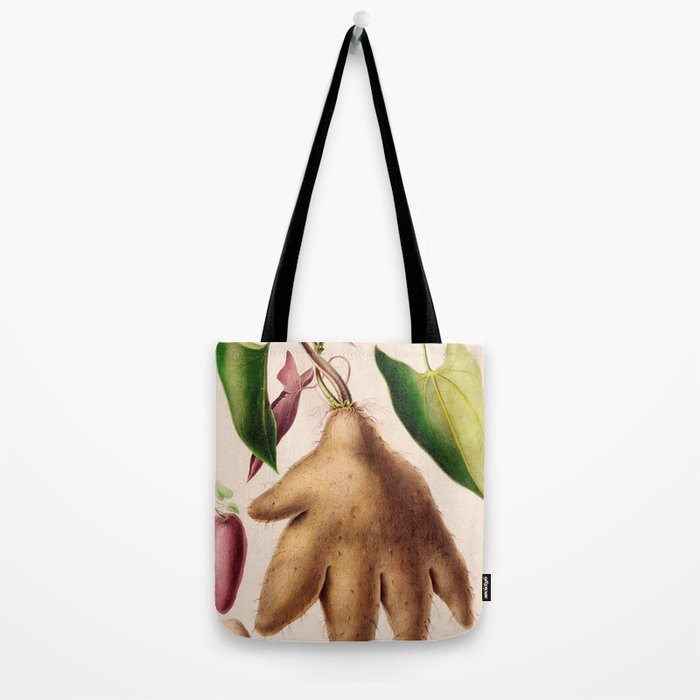 Yam from "Flore dâAmÃ©rique" by Ãtienne Denisse, 1840s Tote Bag Gallery Image 2